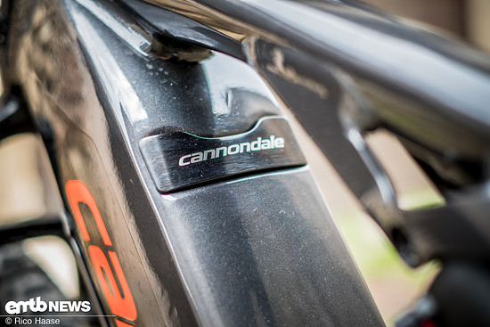 Hübsches Detail am Cannondale Cujo NEO 130 1