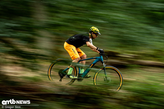 Laufruhe auf einfachen Waldwegen generieren der Radstand und die großen Laufräder.