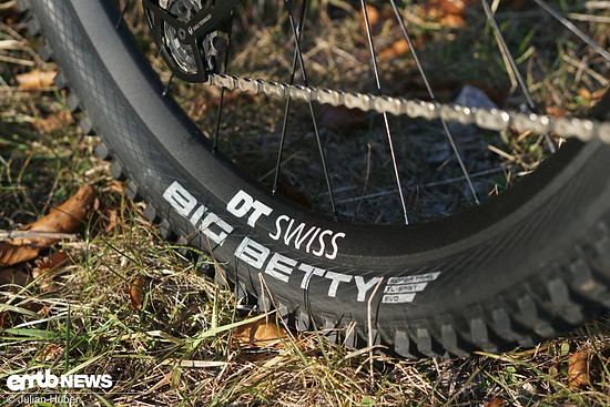 Schwalbes Big Betty-Reifen in der Dimension 29 x 2.6 im Heck wird getragen von einer DT Swiss-Felge mit 35 mm Maulweite.