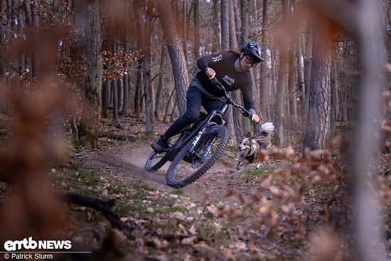 Das-Moterra-LT-will-etwas-mehr-Lehnung-als-Lenkerbewegung-Stoerend-war-das-nicht-unbedingt-die-Lenkung-verhaelt-sich-aber-anders-als-an-meinen-anderen-Testbikes-Ich-vermute-dass-es-am-Headset-Cable-Ro