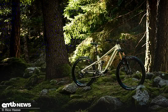 Simplon-Rapcon-PMAX-TQ-VT-Light-Support-E-MTB-2025DSC-7184