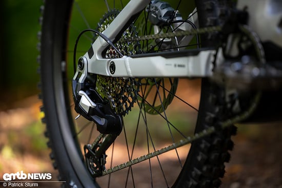 Canyon NeuronON AL 2025 PSturm-9