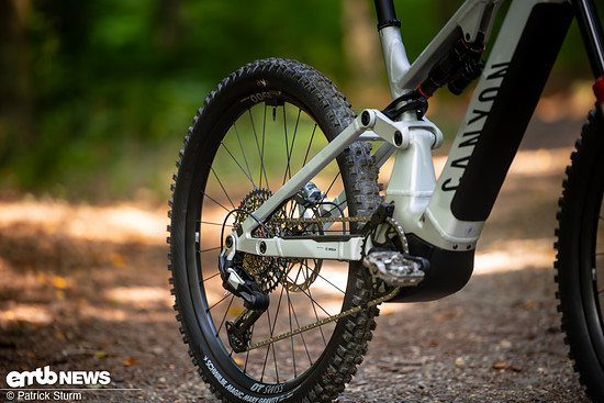 Canyon NeuronON AL 2025 PSturm-16