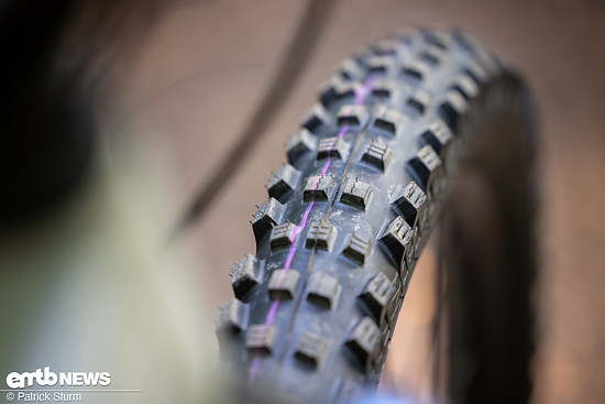 Canyon NeuronON AL 2025 PSturm-27