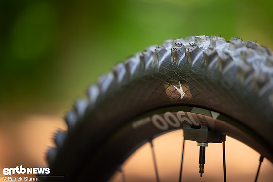 Canyon NeuronON AL 2025 PSturm-28