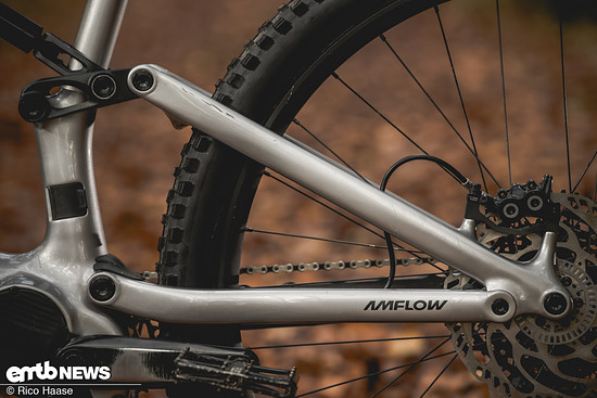 Am Drehpunkt zwischen Dämpferyoke und Wippe sitzt ein Flip-Chip.