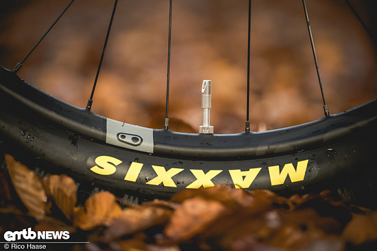 Cranbrothers Synthesis E11 Carbon-Laufräder und eine solide Maxxis-Kombination sorgen für Robustheit und Grip.