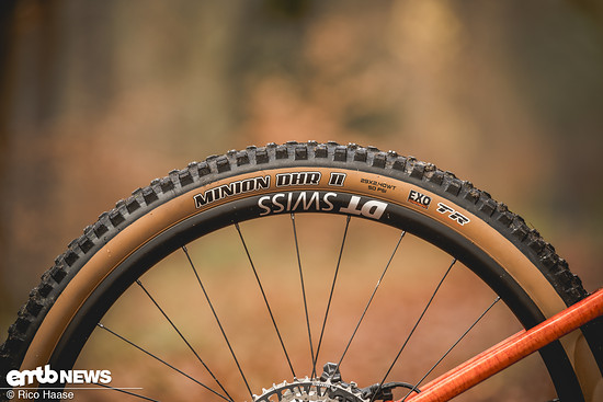 Die Tanwall-Reifenflanke ist Geschmackssache, das Reifenprofil passt, aber …