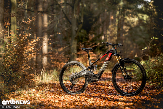 Testsieg für das Rotwild R.X 900!