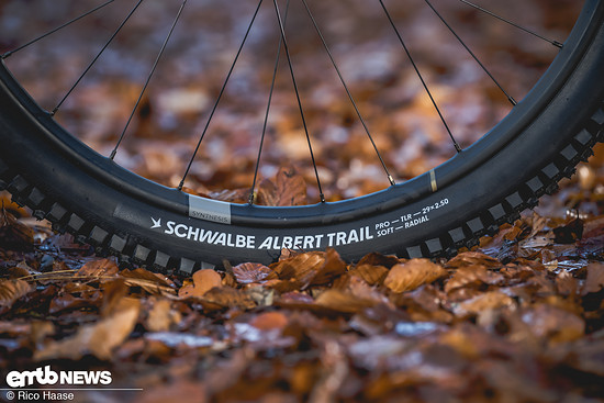 Radial-Reifen von Schwalbe dürfen aktuell auf keinem Bike fehlen.