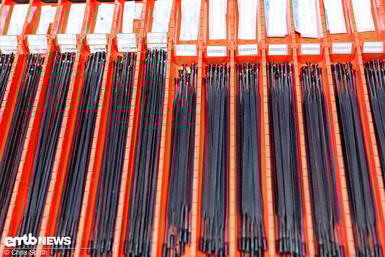 Foto Chris Spath Giant Erkrath Motor Akku Instandsetzung-24