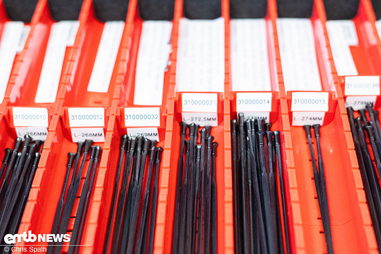 Foto Chris Spath Giant Erkrath Motor Akku Instandsetzung-25