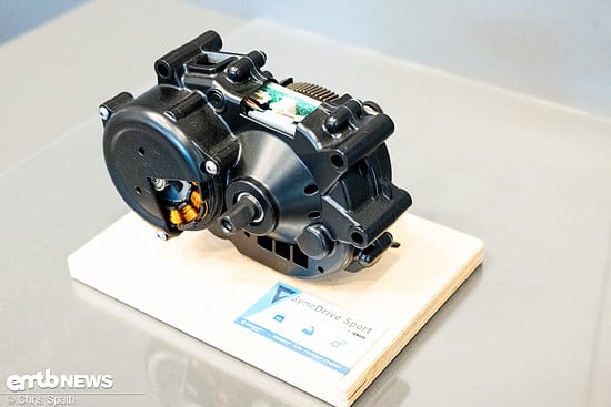 Foto Chris Spath Giant Erkrath Motor Akku Instandsetzung-56