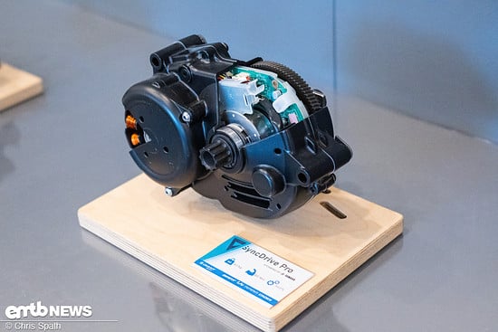 Foto Chris Spath Giant Erkrath Motor Akku Instandsetzung-58