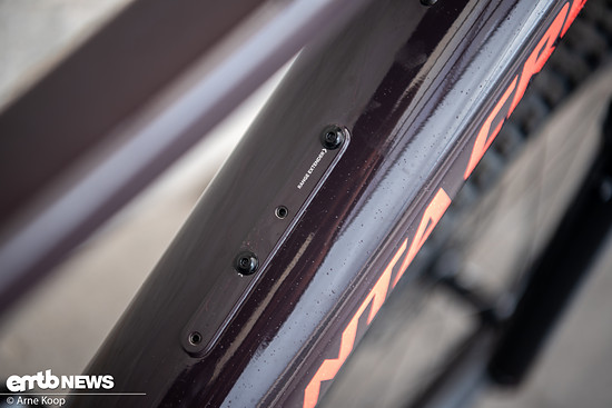 Santa Cruz Vala AL-7