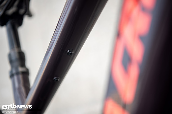 Santa Cruz Vala AL-10