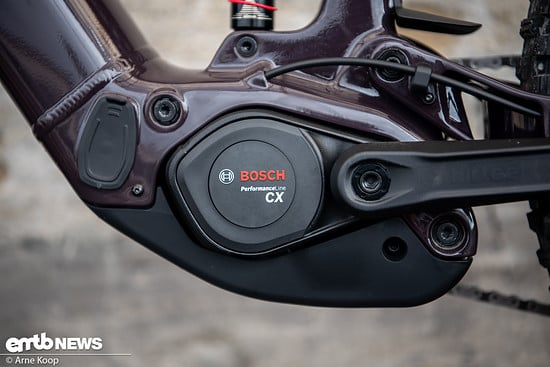 Der Bosch CX-Motor liefert bis zu 100 Nm Drehmoment und wird von einem 600 Wh-Akku mit Energie versorgt.