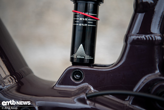 Santa Cruz Vala AL-25