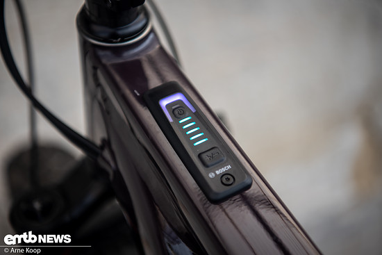 Santa Cruz Vala AL-33