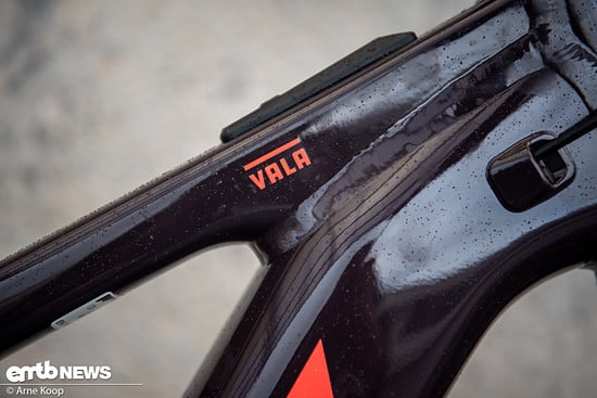 Santa Cruz Vala AL-1