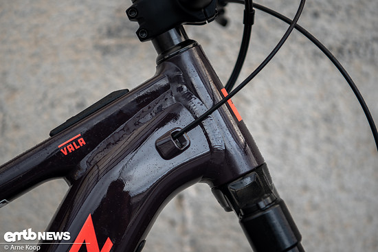 Santa Cruz Vala AL-2