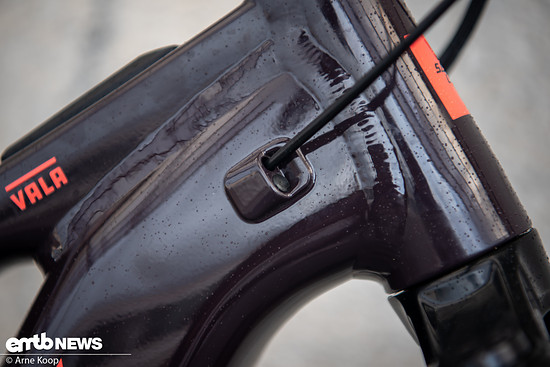 Santa Cruz Vala AL-3