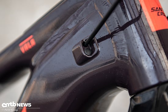 Santa Cruz Vala AL-4