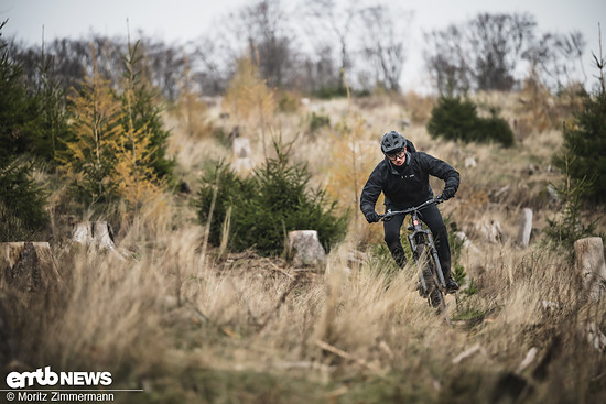 santa-cruz-vala-al-98485