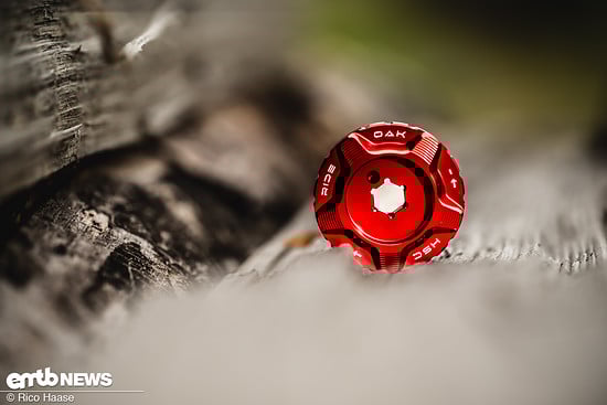 OAK Fork Caps DSC 2810