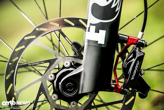 OAK Fork Caps DSC 2789