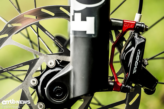 OAK Fork Caps DSC 2787