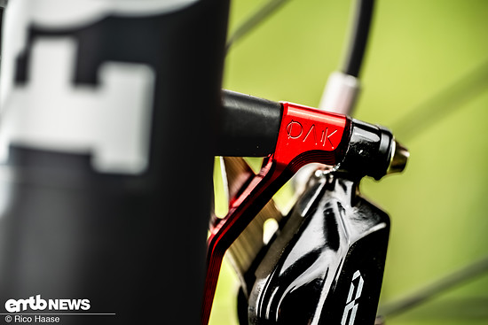 OAK Fork Caps DSC 2782