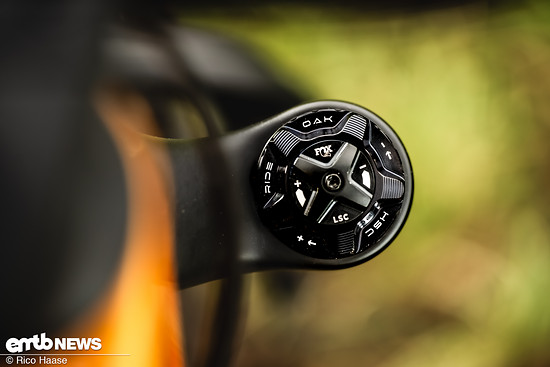 OAK Fork Caps DSC 2775