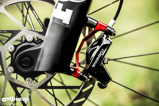 OAK Fork Caps DSC 2778