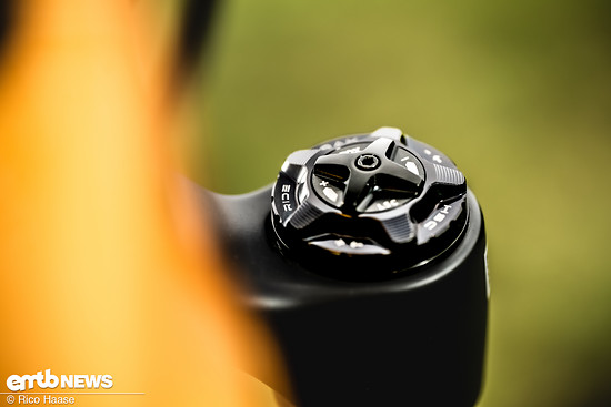 OAK Fork Caps DSC 2773