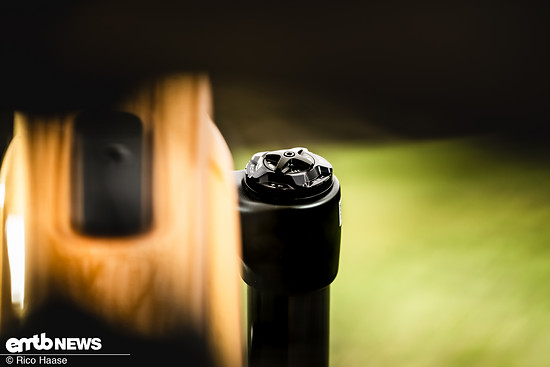 OAK Fork Caps DSC 2771