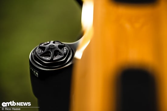 OAK Fork Caps DSC 2769