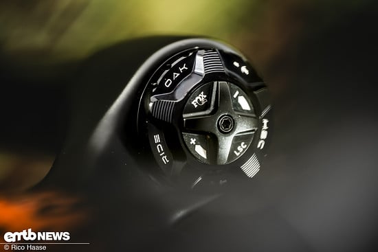 OAK Fork Caps DSC 2765