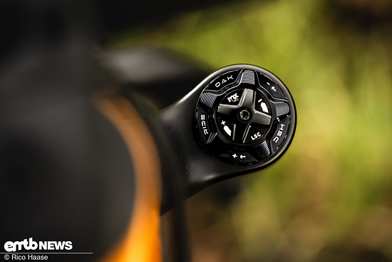 OAK Fork Caps DSC 2758