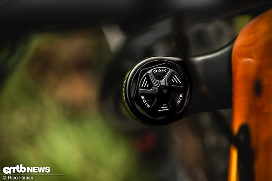 OAK Fork Caps DSC 2755