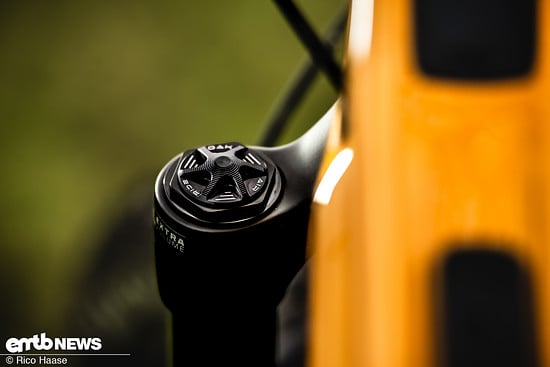 OAK Fork Caps DSC 2750