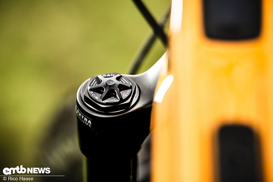 OAK Fork Caps DSC 2749