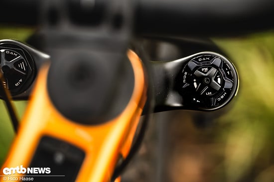 OAK Fork Caps DSC 2747