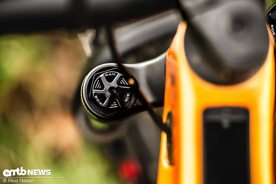 OAK Fork Caps DSC 2742