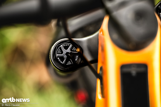 OAK Fork Caps DSC 2744