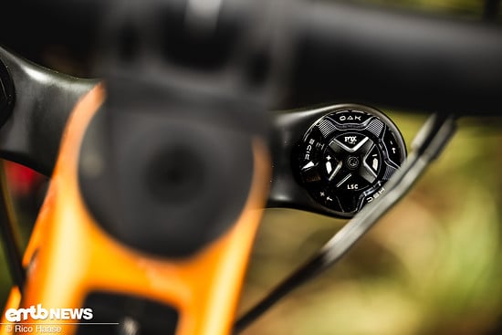 OAK Fork Caps DSC 2731