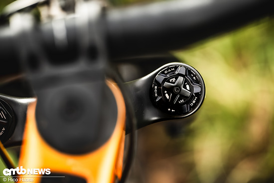 OAK Fork Caps DSC 2733