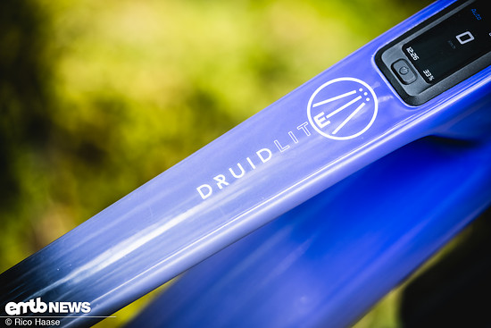 Forbidden Druid LitE Test DSC 6675