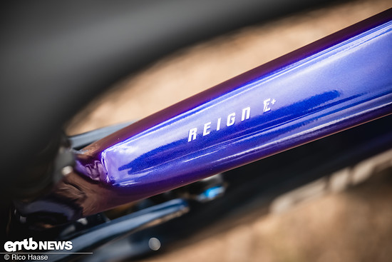 Giant Reign E MY2026 Test und NeuvorstellungDSC 9209