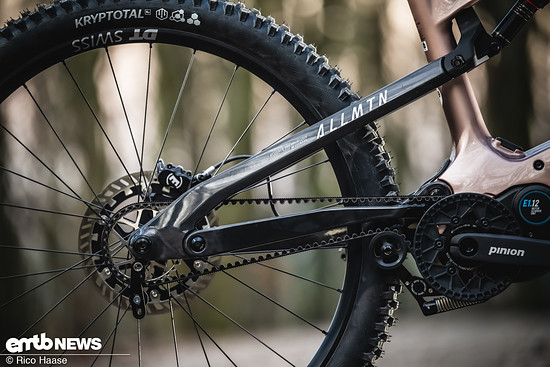 Haibike AllMtn Pinion DSC 8713